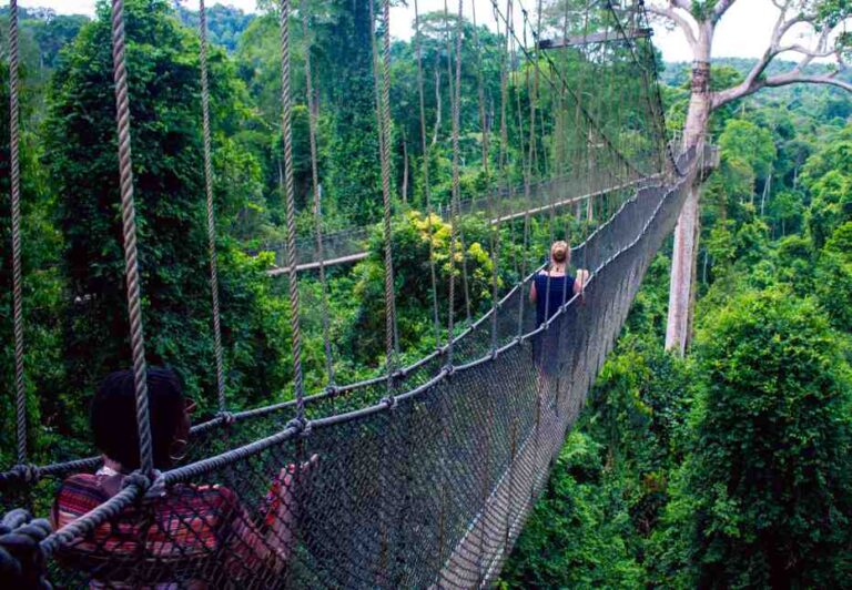 kakum canopy treetop walkway bridge ghana unspl