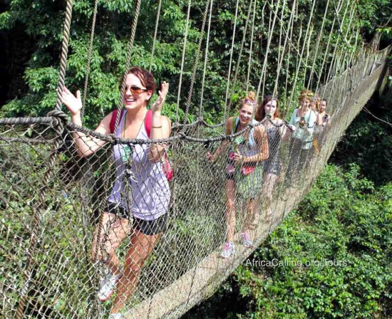 treetop walkway kakum national park ghana A